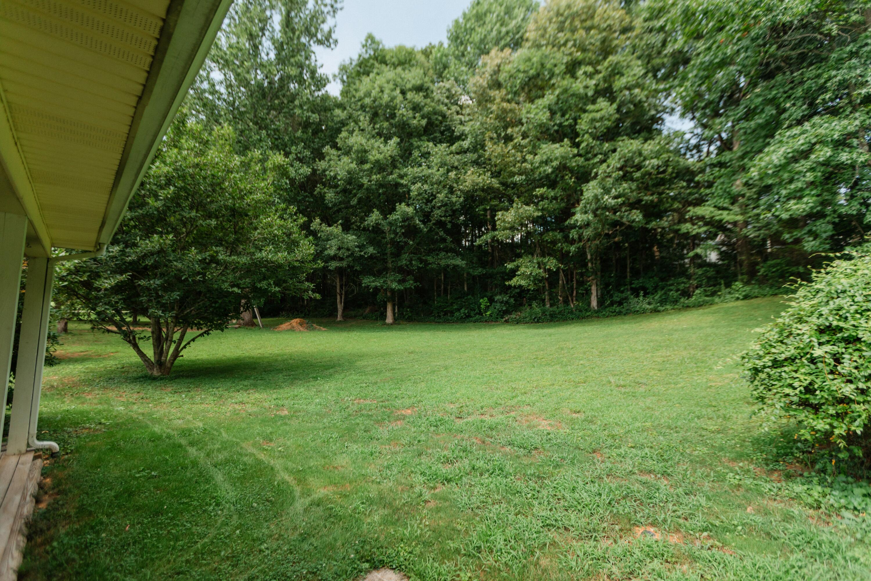 170 Ladybird Lane Property Photo 14