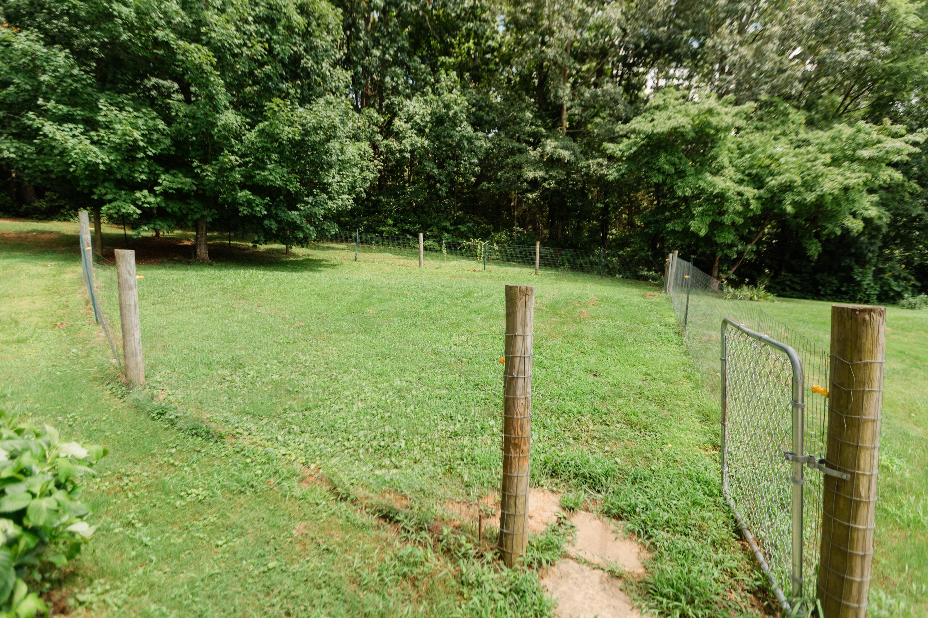 170 Ladybird Lane Property Photo 15