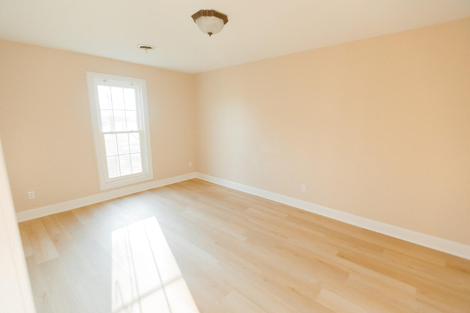 170 Ladybird Lane Property Photo 40