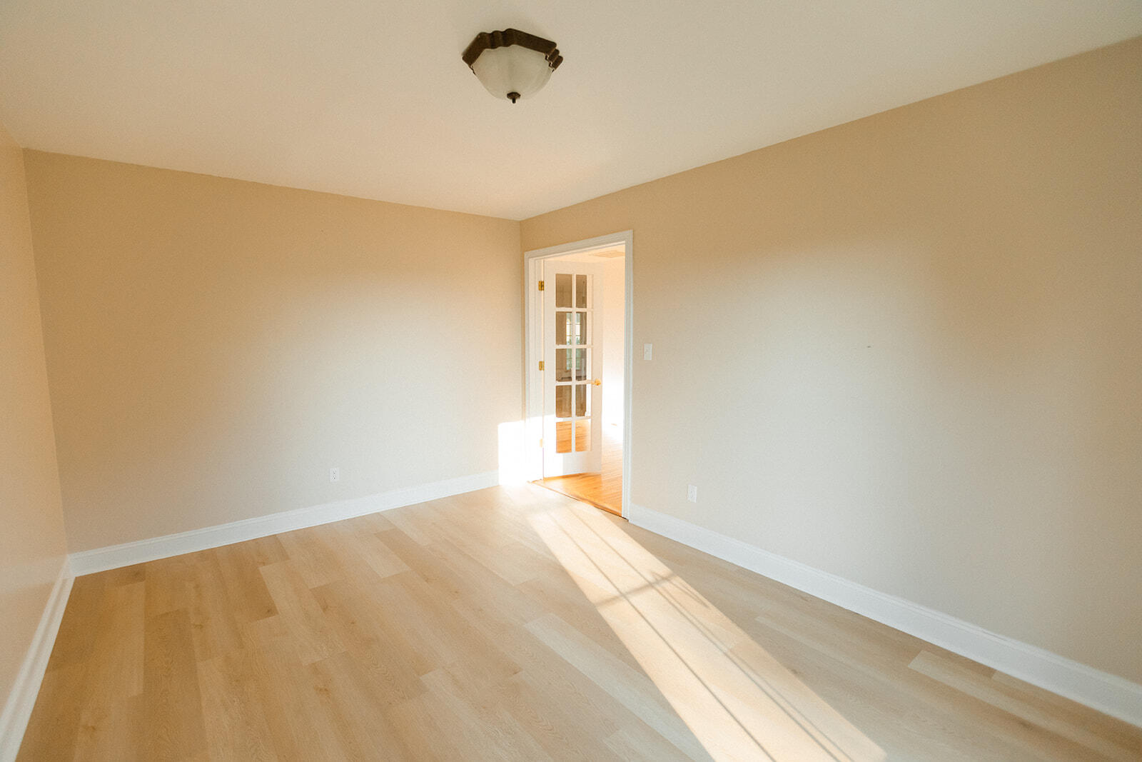 170 Ladybird Lane Property Photo 41
