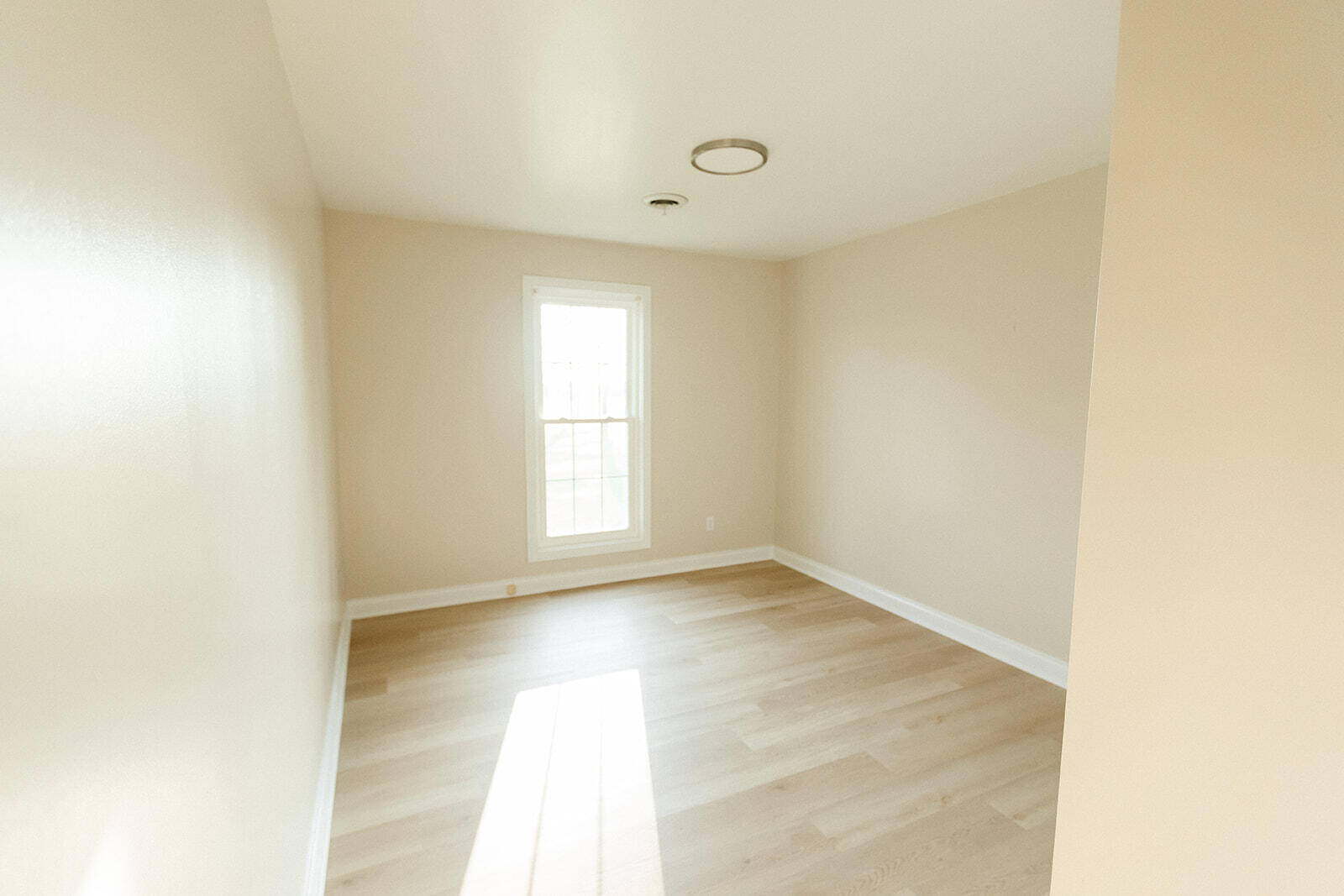 170 Ladybird Lane Property Photo 54