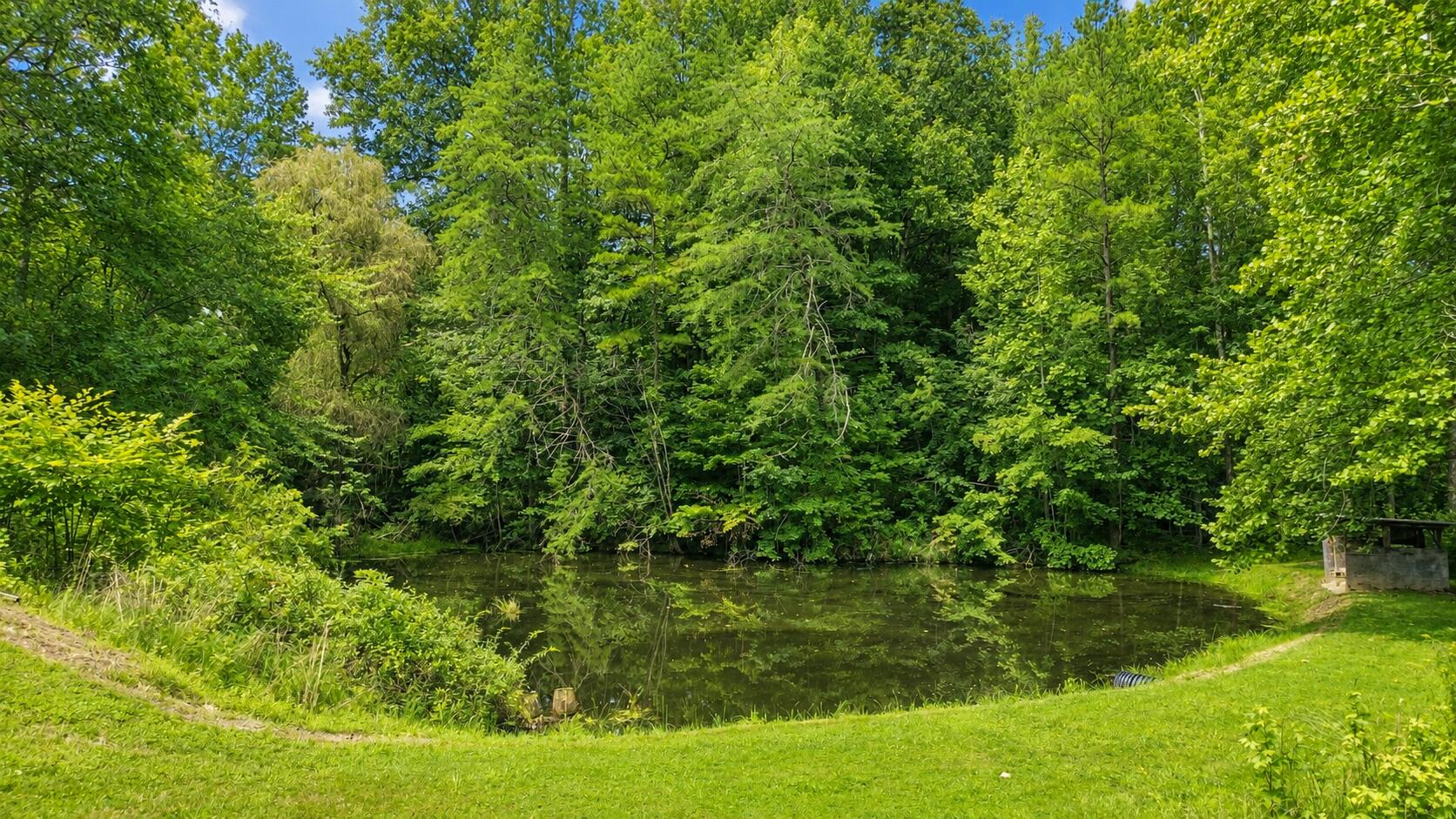 2450 S State Highway 233 Property Photo 6