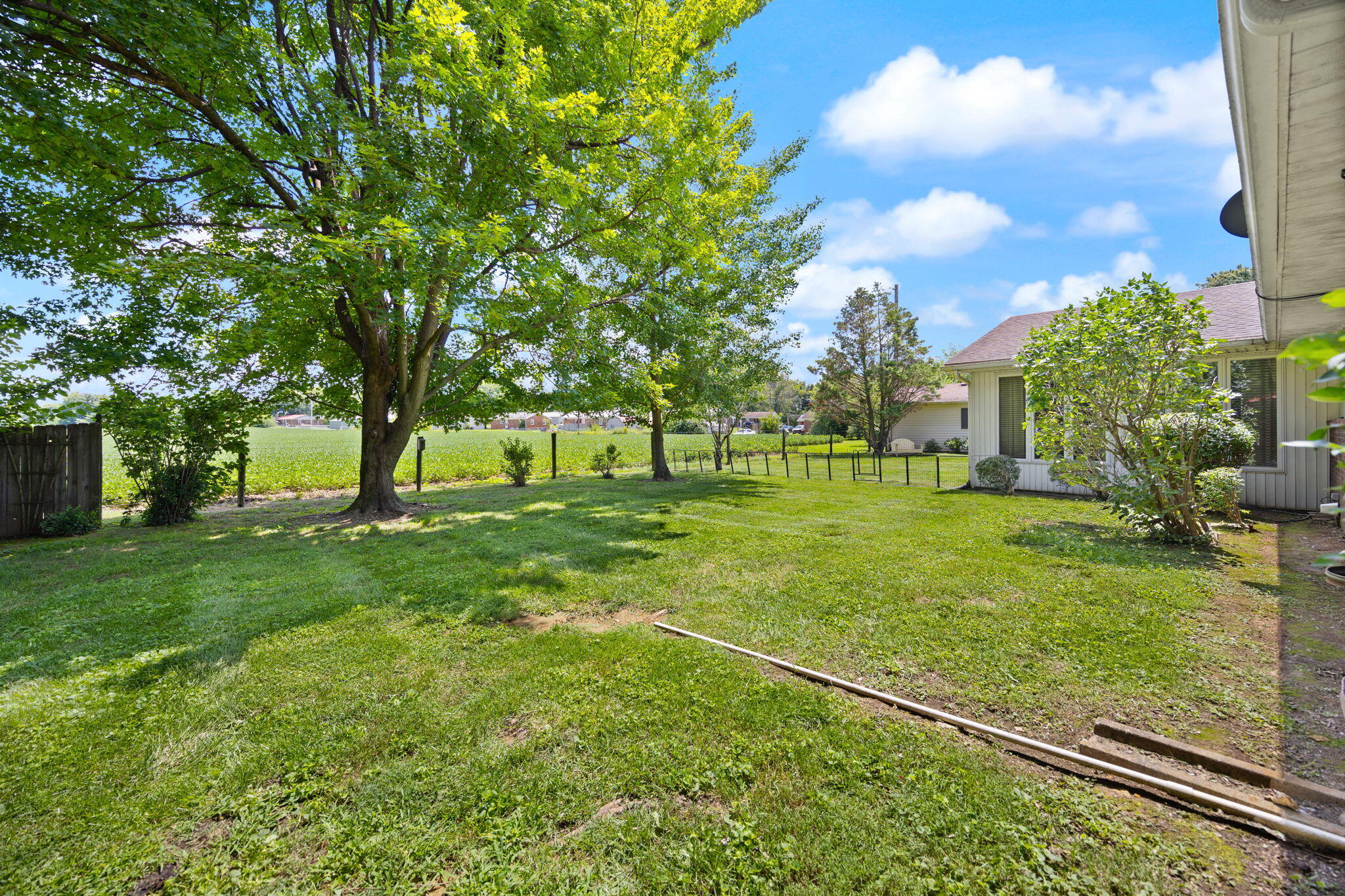 206 Stevens Court Property Photo 13