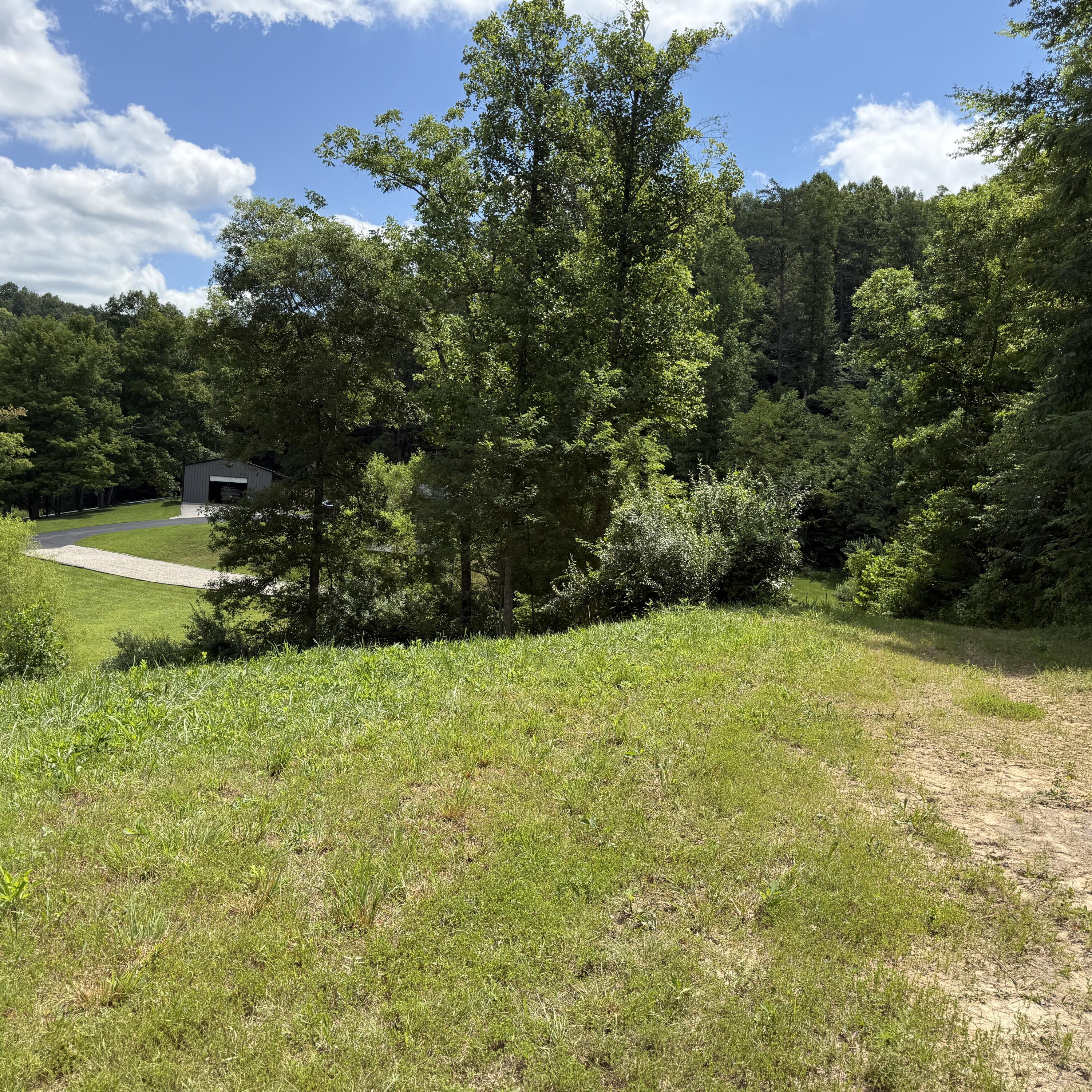 0000 Open Fork Rd Road Property Photo 4