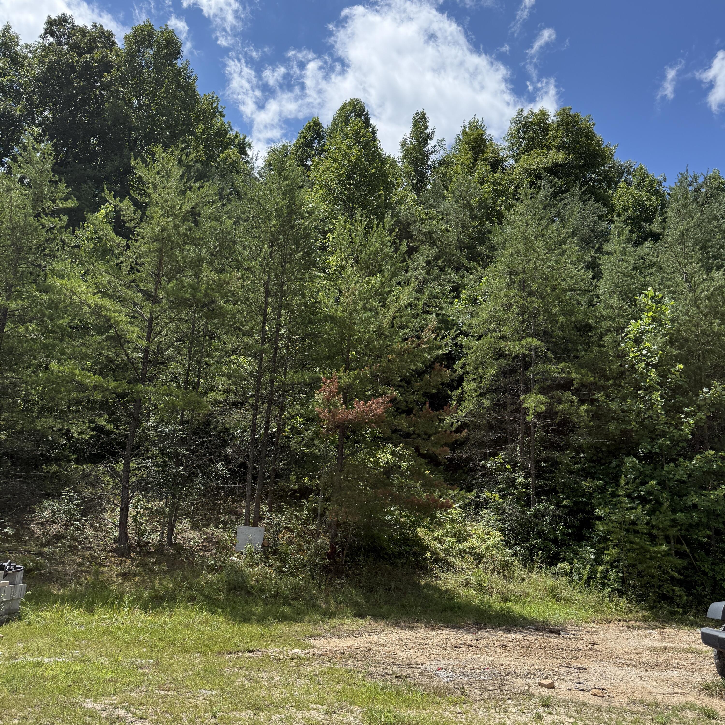 0000 Open Fork Rd Road Property Photo 7