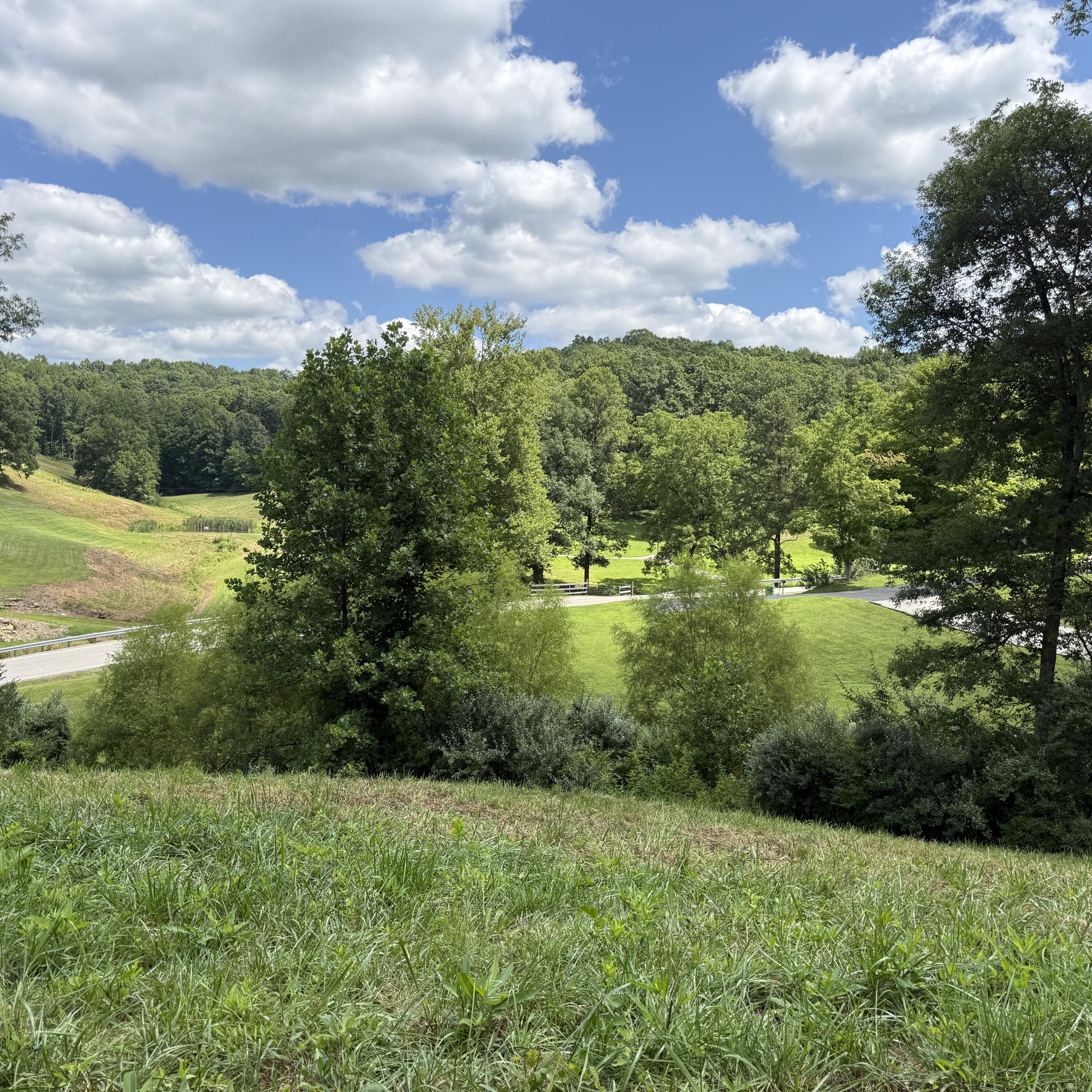 0000 Open Fork Rd Road Property Photo 8