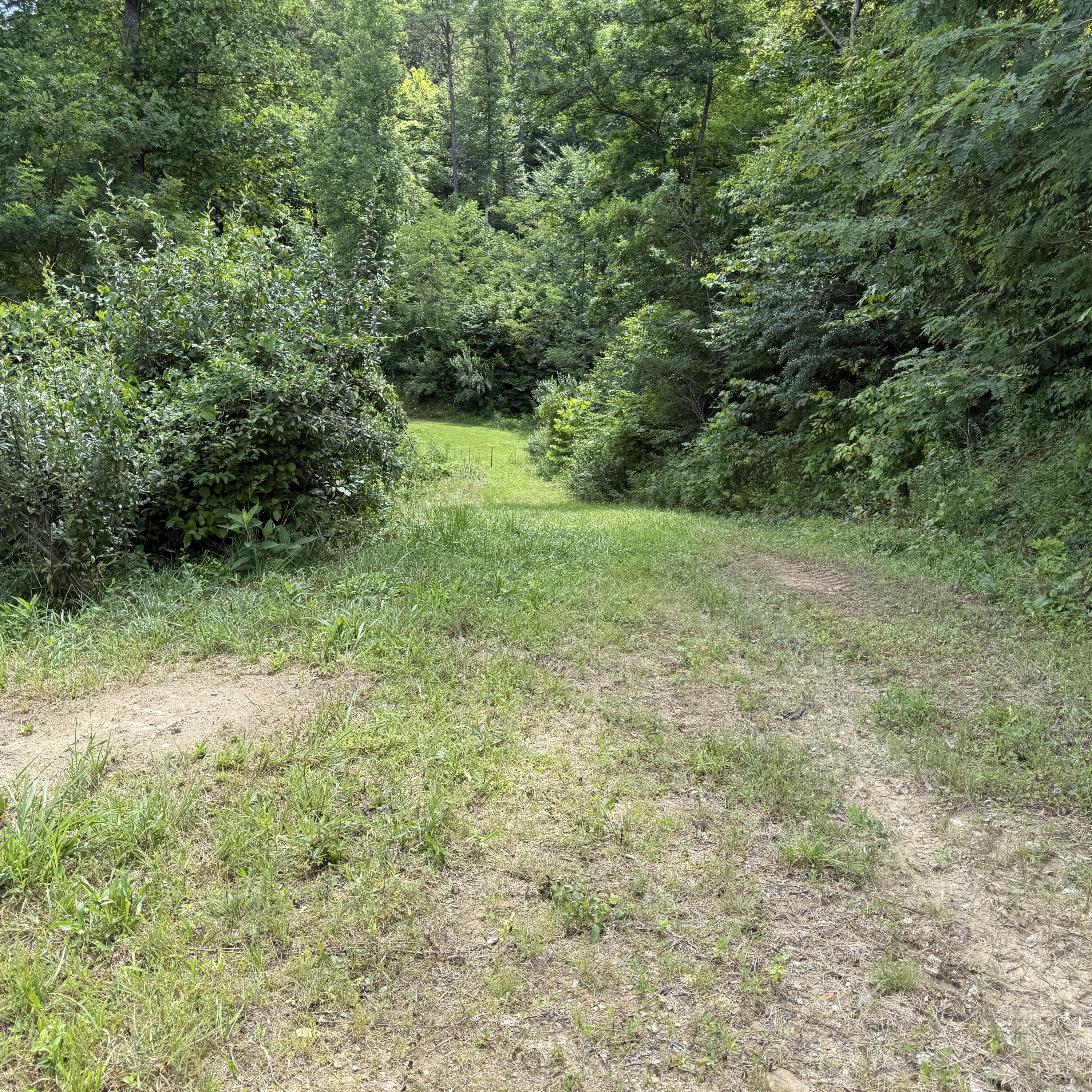 0000 Open Fork Rd Road Property Photo 9