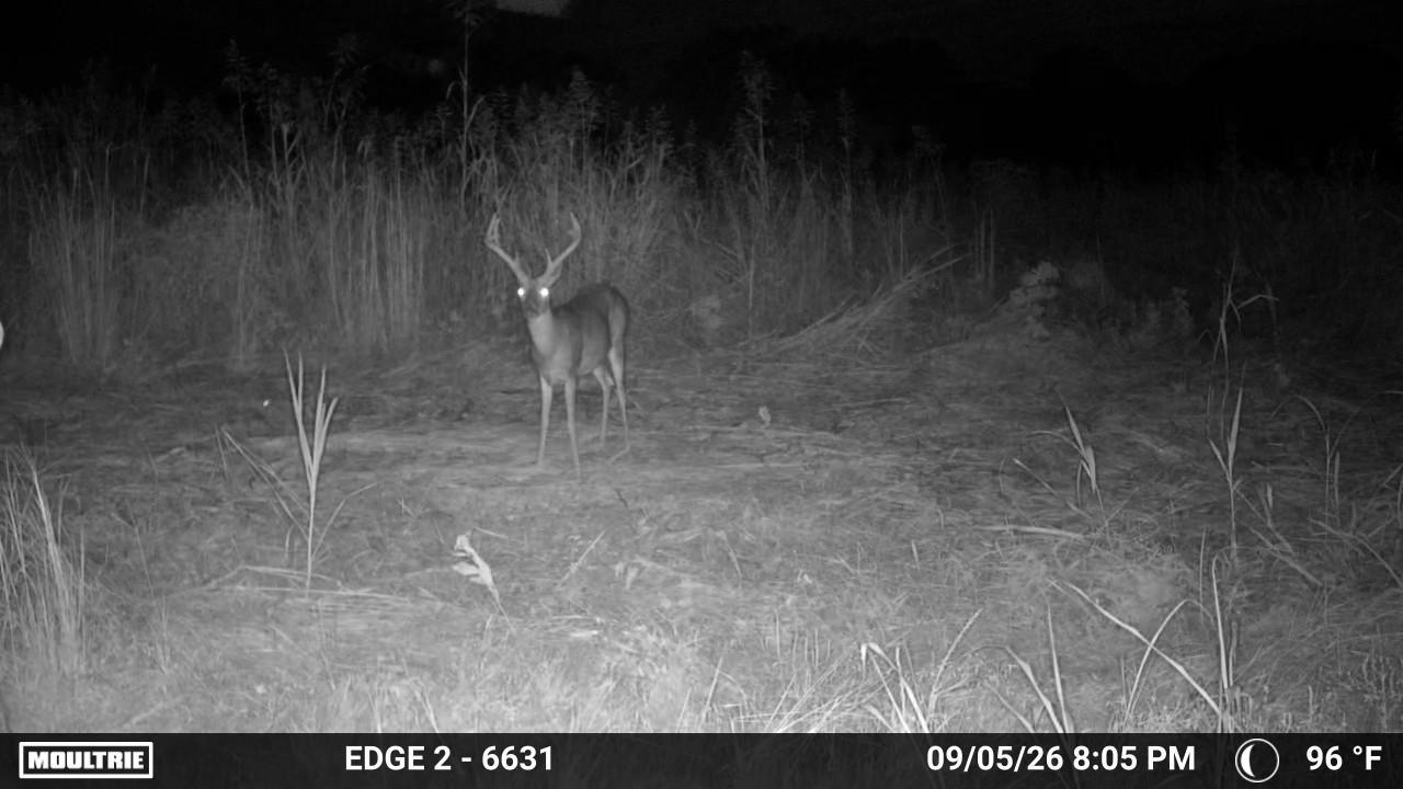 000 0 Dunlap Rd Property Photo 2