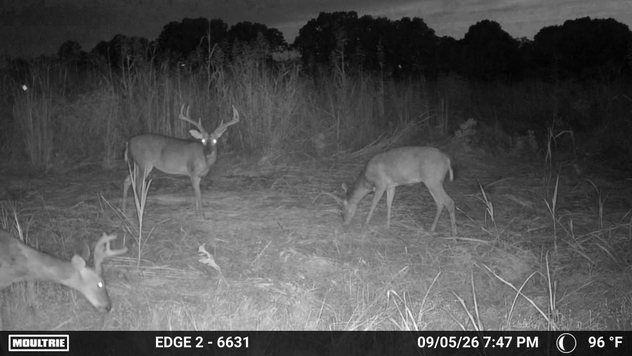 000 0 Dunlap Rd Property Photo 3