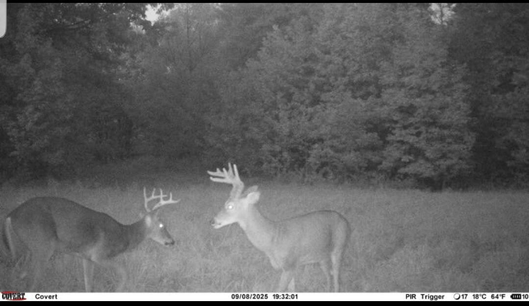 000 0 Dunlap Rd Property Photo 5