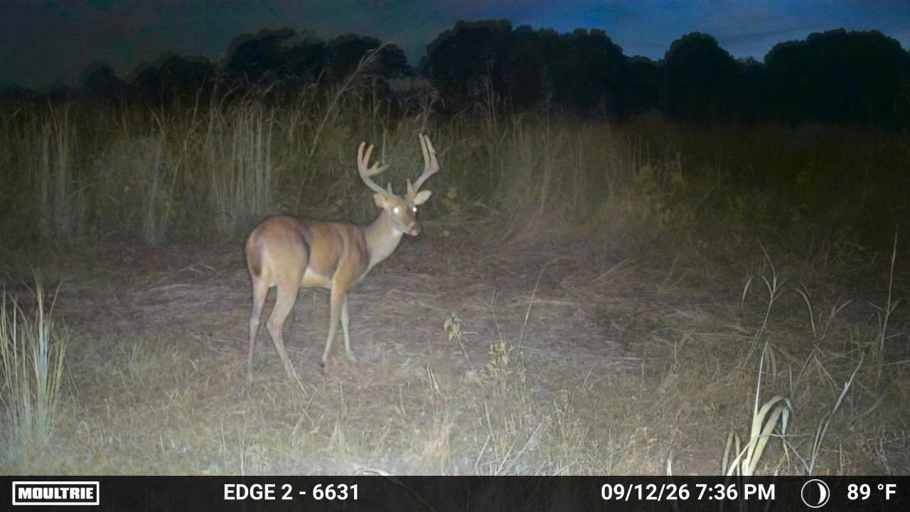 000 0 Dunlap Rd Property Photo 5