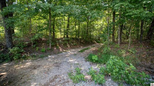 000 0 Dunlap Rd Property Photo 21