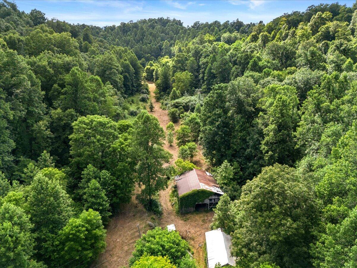 2661 Buncomb Road Property Photo 3