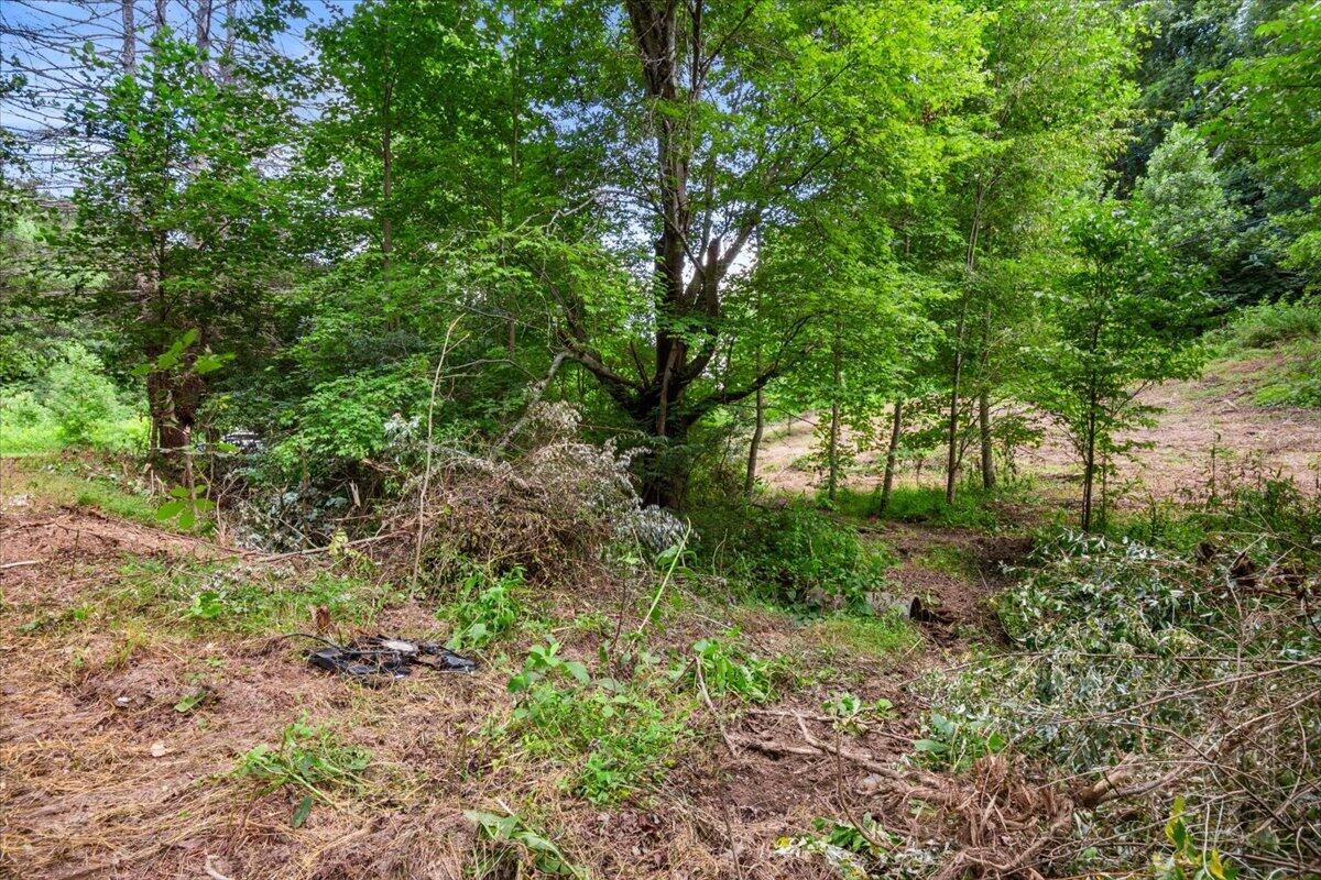 2661 Buncomb Road Property Photo 4