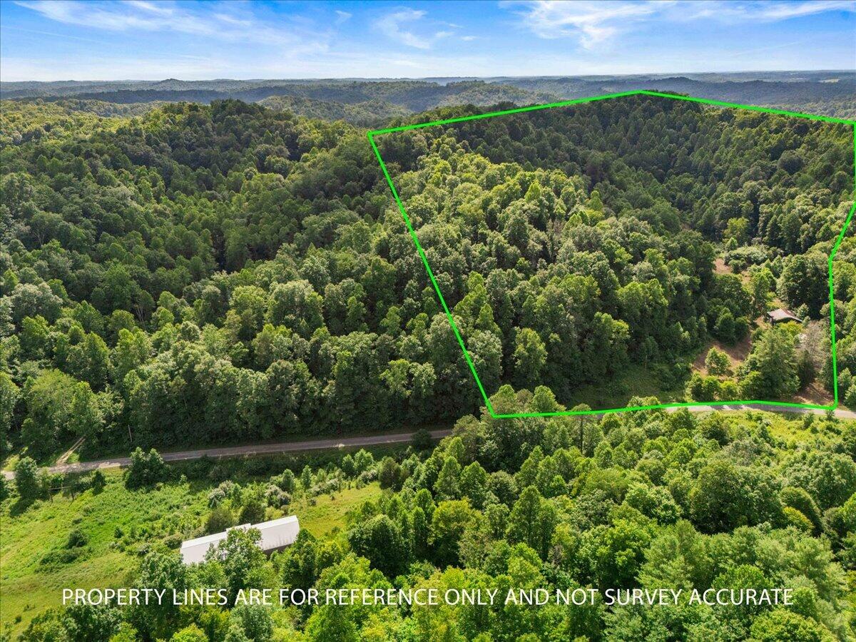 2661 Buncomb Road Property Photo 6