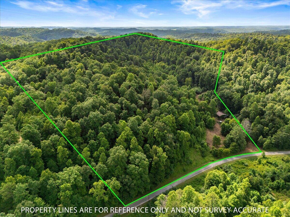 2661 Buncomb Road Property Photo 7