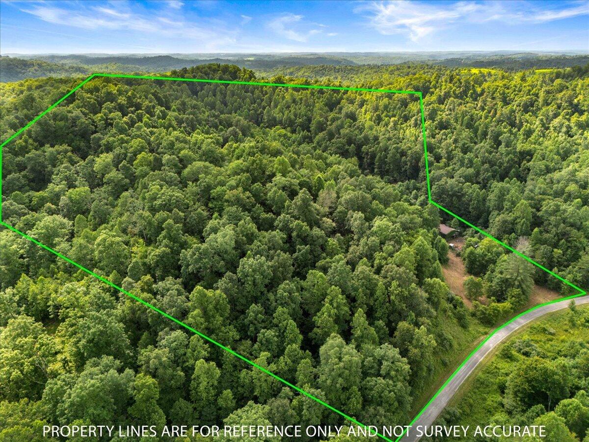 2661 Buncomb Road Property Photo 8