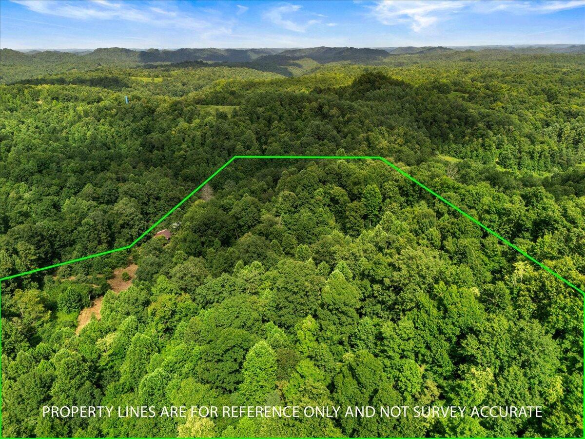 2661 Buncomb Road Property Photo 9