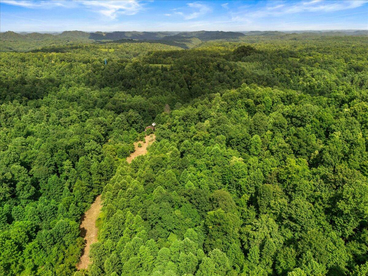 2661 Buncomb Road Property Photo 10