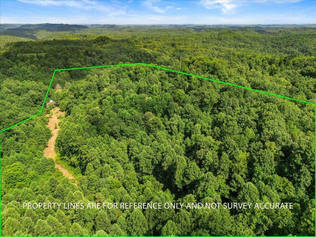2661 Buncomb Road Property Photo 11