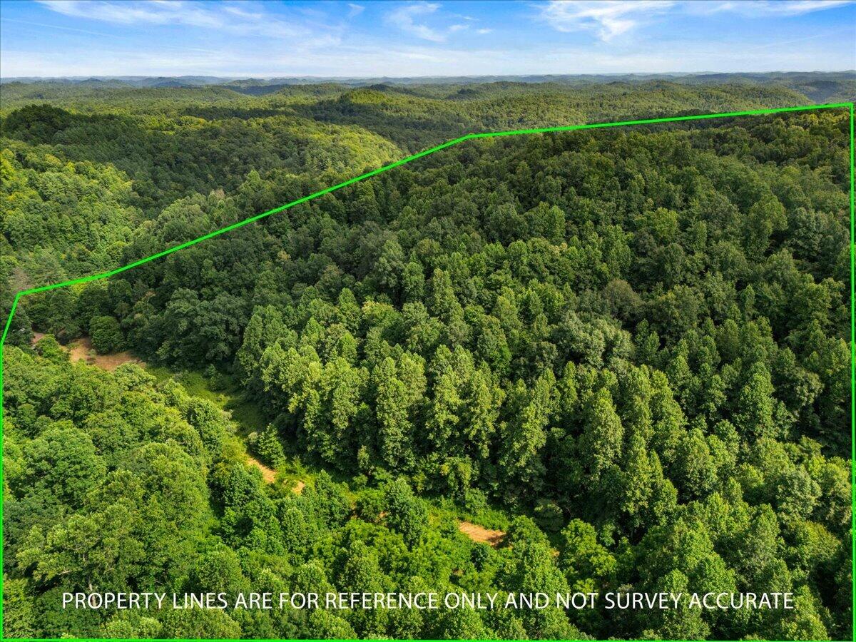 2661 Buncomb Road Property Photo 14