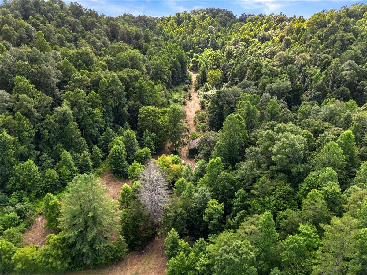 2661 Buncomb Road Property Photo 16