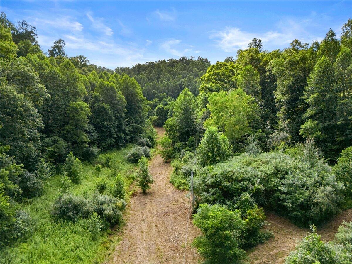 2661 Buncomb Road Property Photo 17
