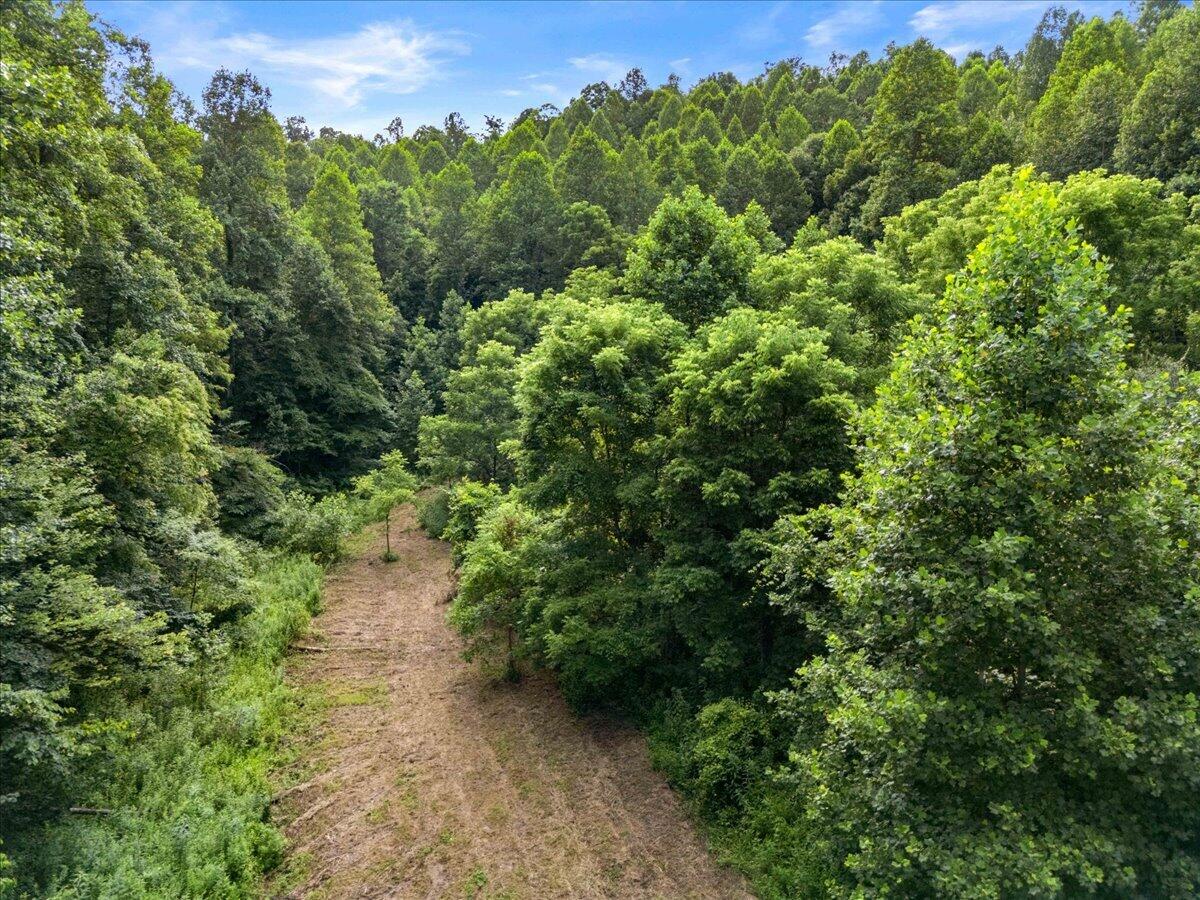 2661 Buncomb Road Property Photo 18