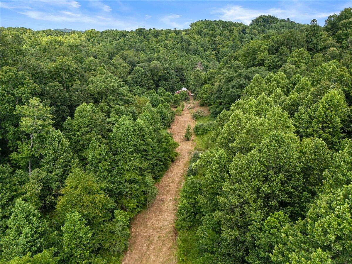 2661 Buncomb Road Property Photo 19