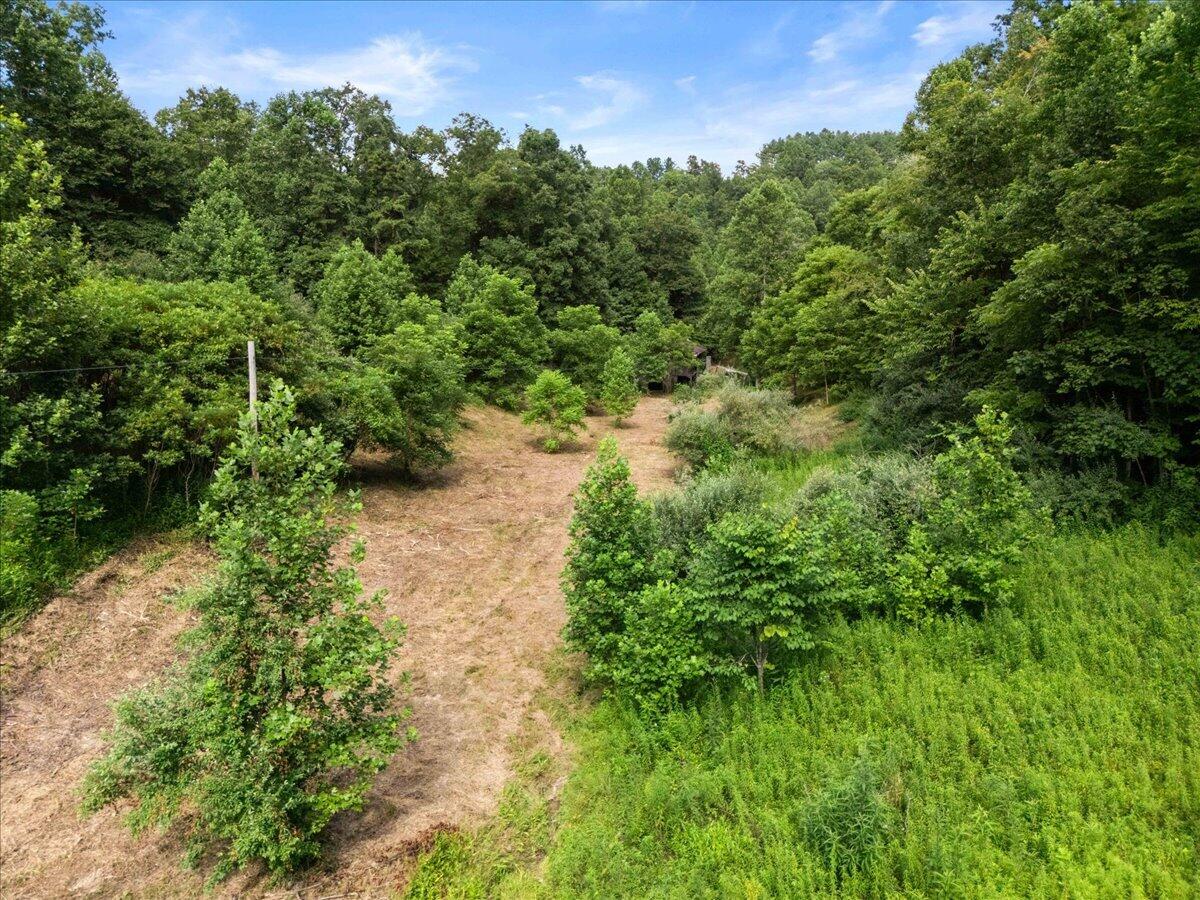2661 Buncomb Road Property Photo 20