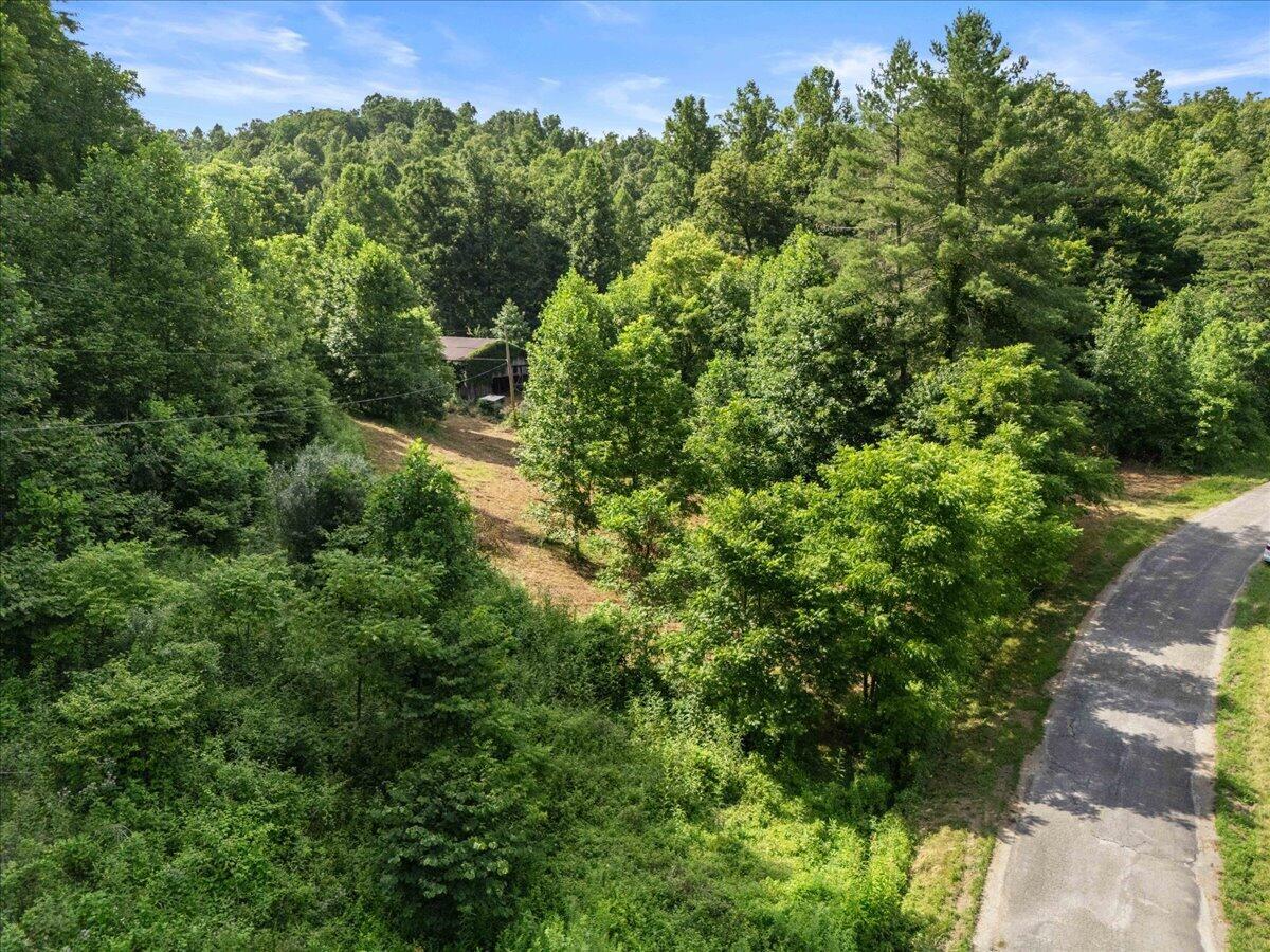 2661 Buncomb Road Property Photo 23