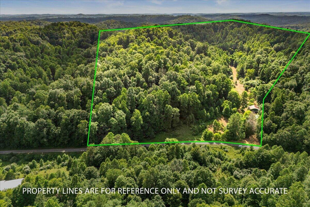 2661 Buncomb Road Property Photo 24