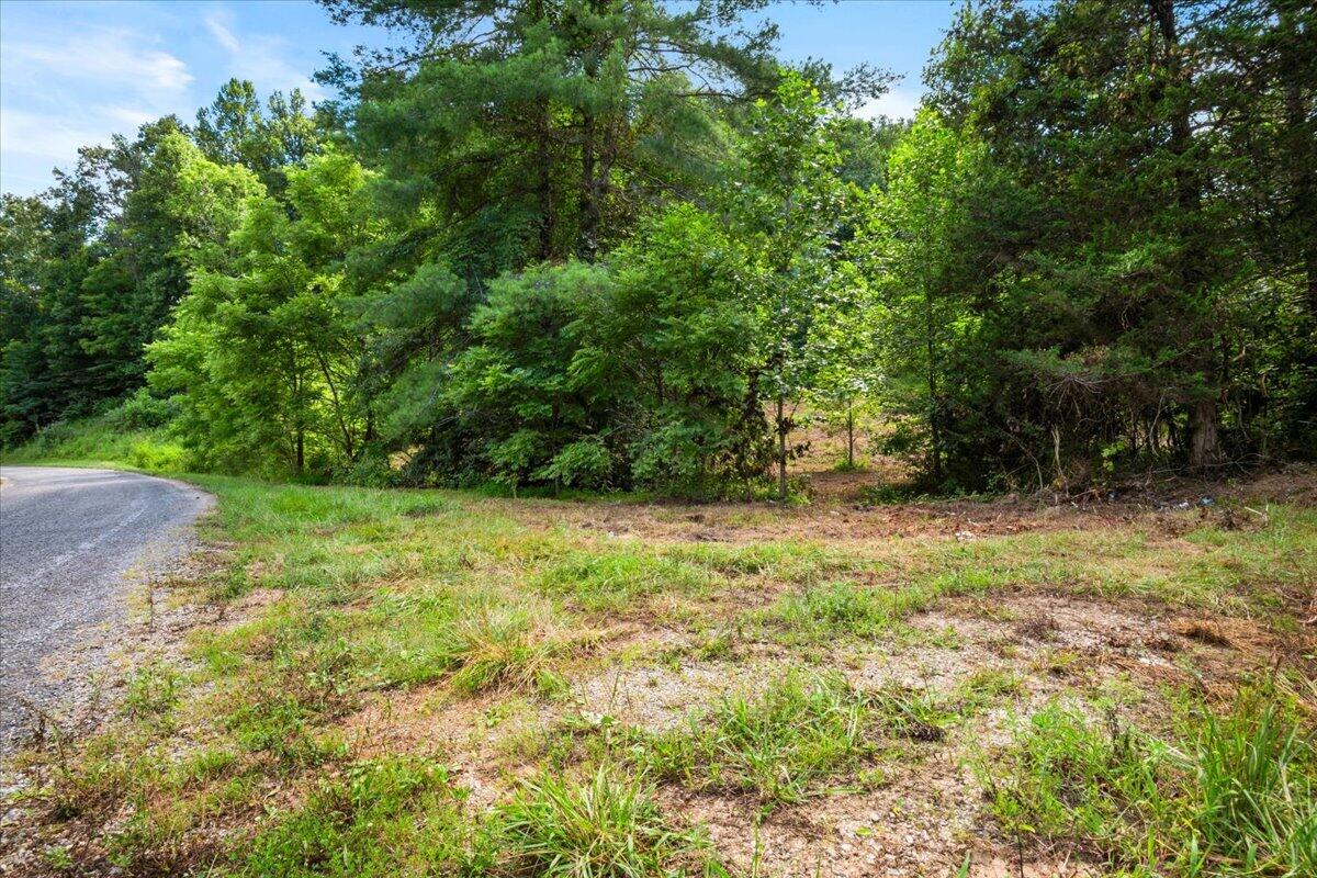 2661 Buncomb Road Property Photo 25