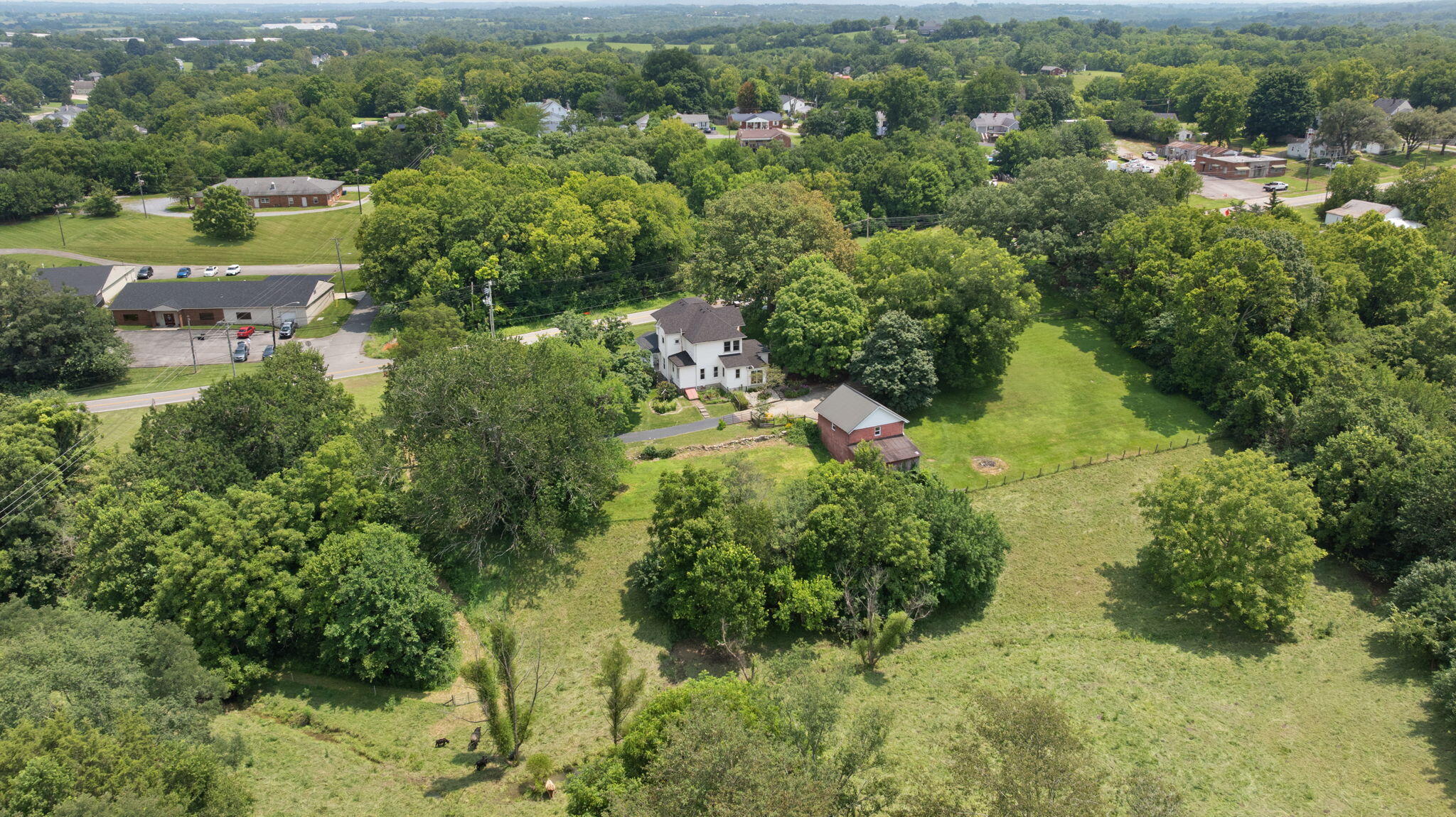 221 Somerset Street Property Photo 60