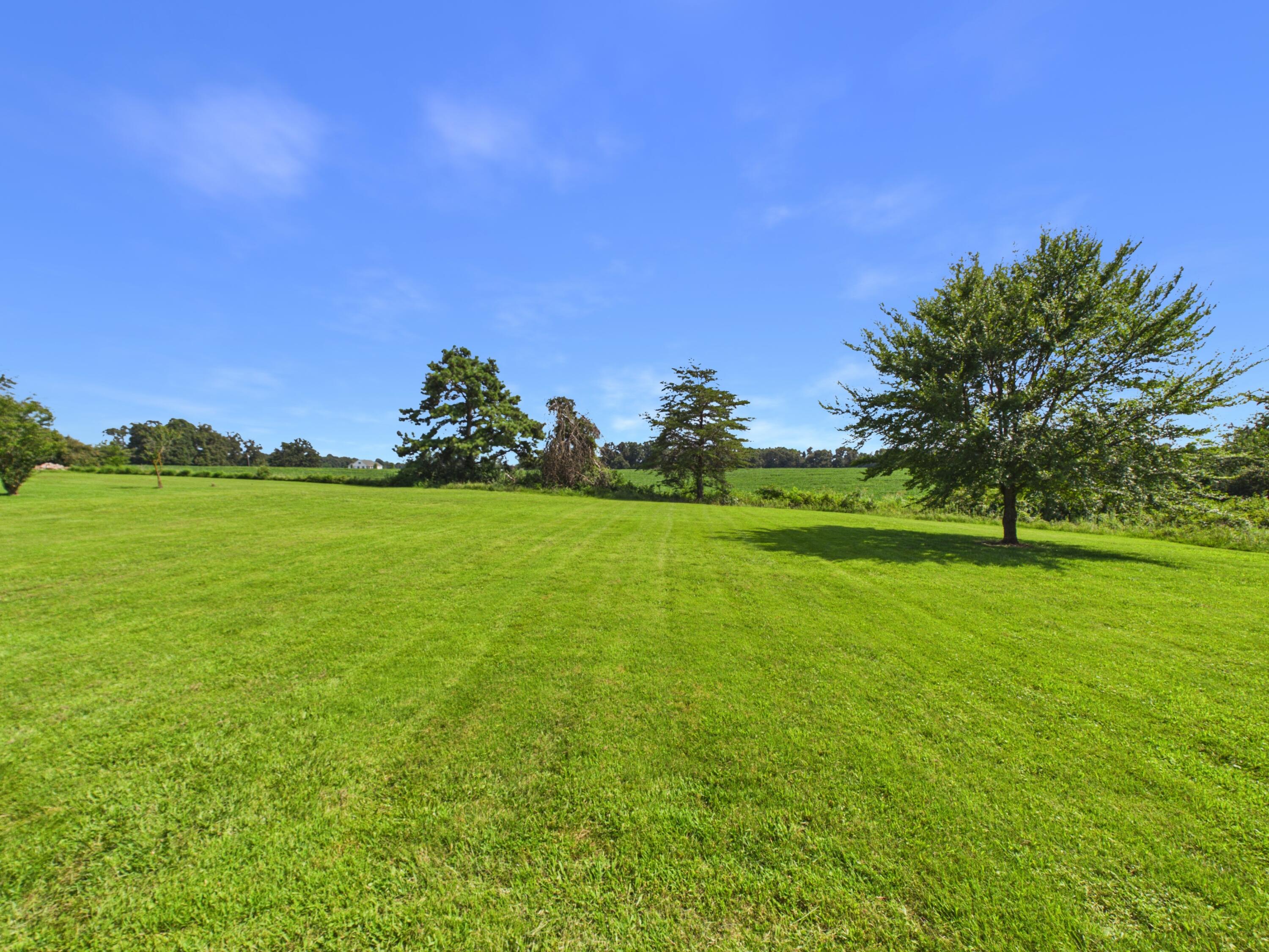 2610 Ky-564 Property Photo 10