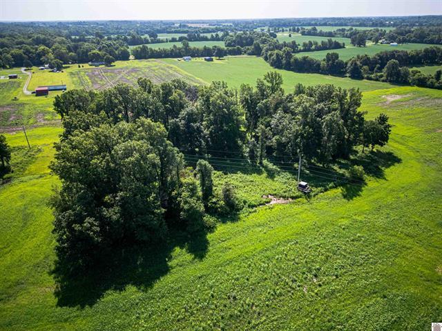 3697 County Line Road Property Photo 4