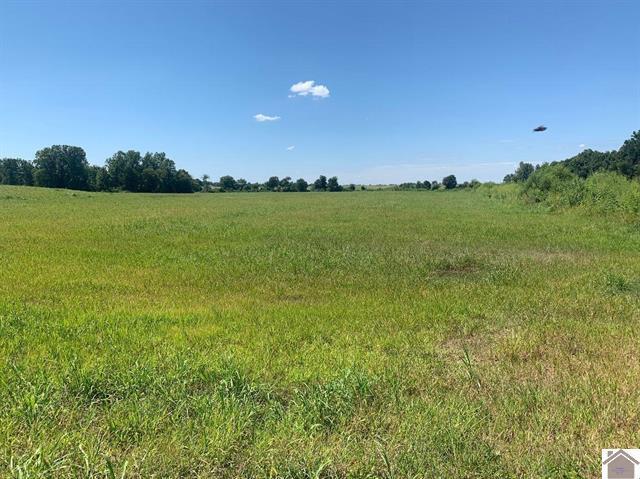3697 County Line Road Property Photo 6