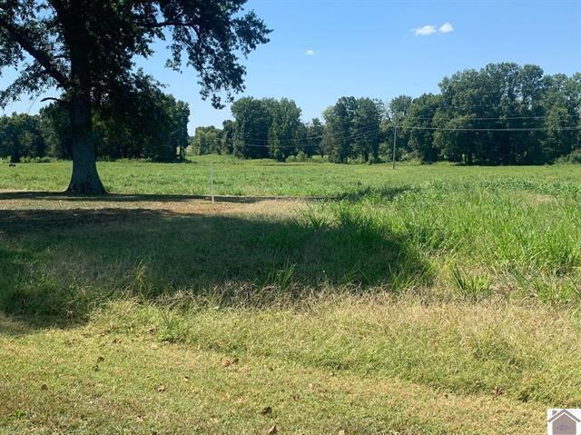 3697 County Line Road Property Photo 7