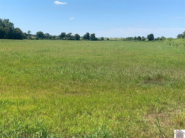 3697 County Line Road Property Photo 8
