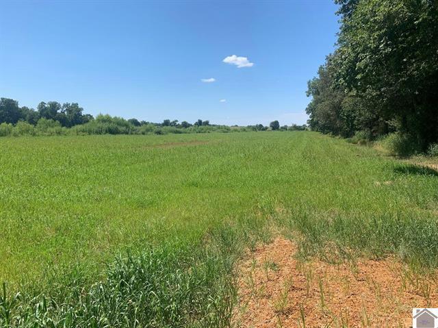 3697 County Line Road Property Photo 9