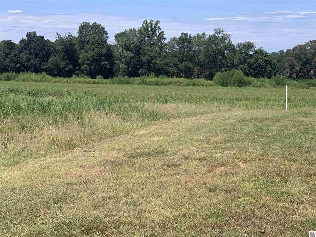 3697 County Line Road Property Photo 11