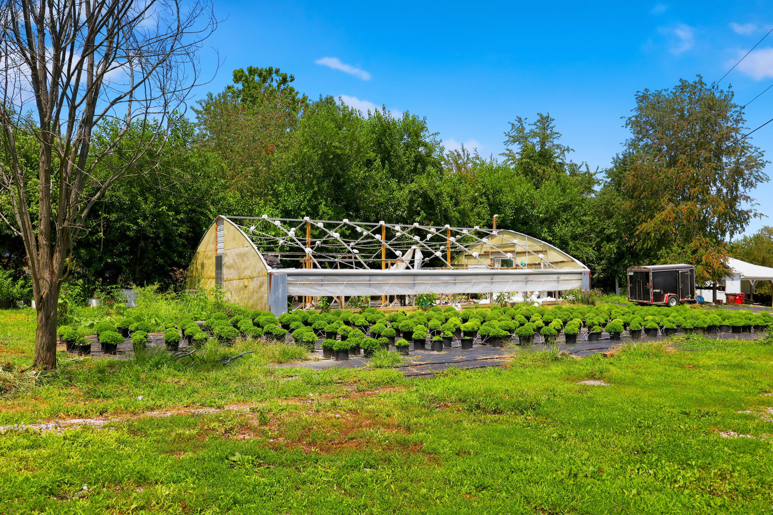 5183 Ky-36 Property Photo 4