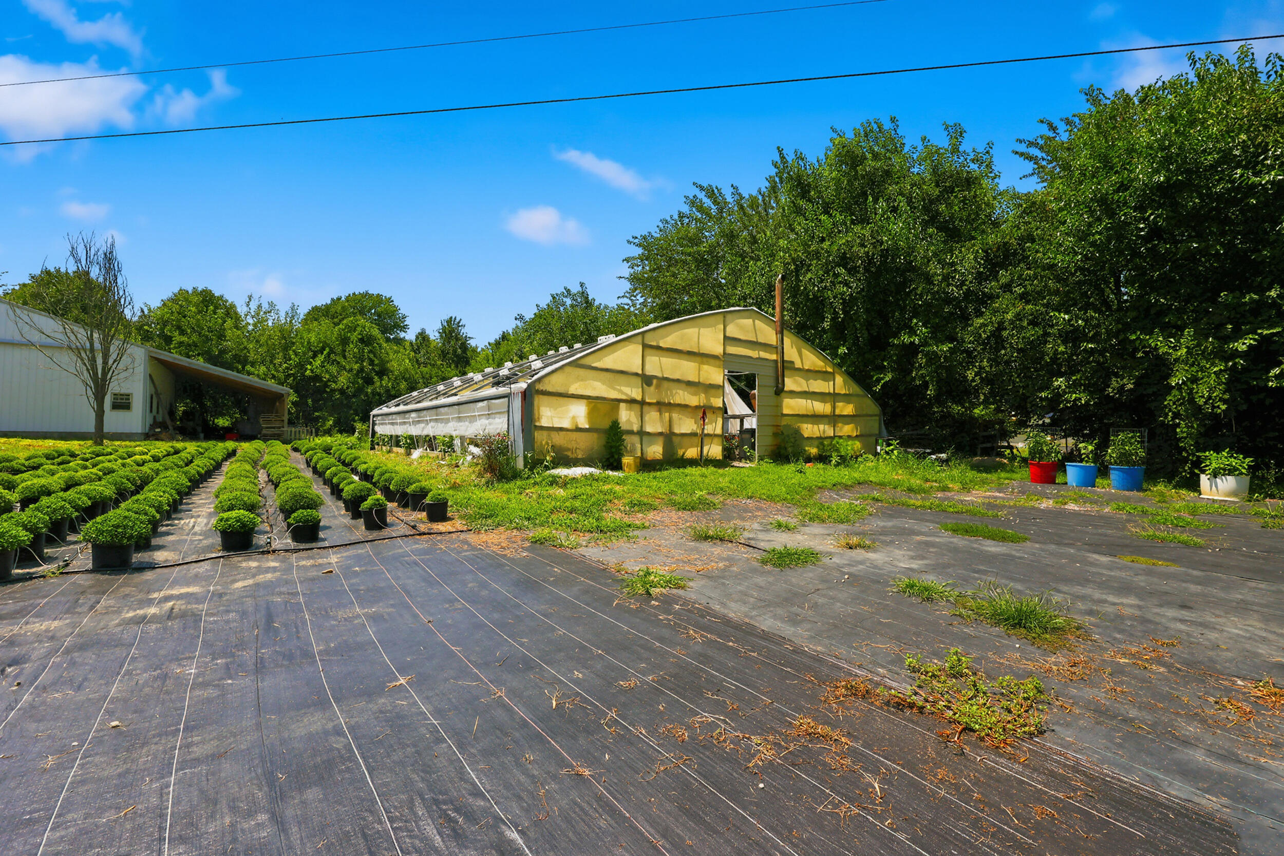 5183 Ky-36 Property Photo 71