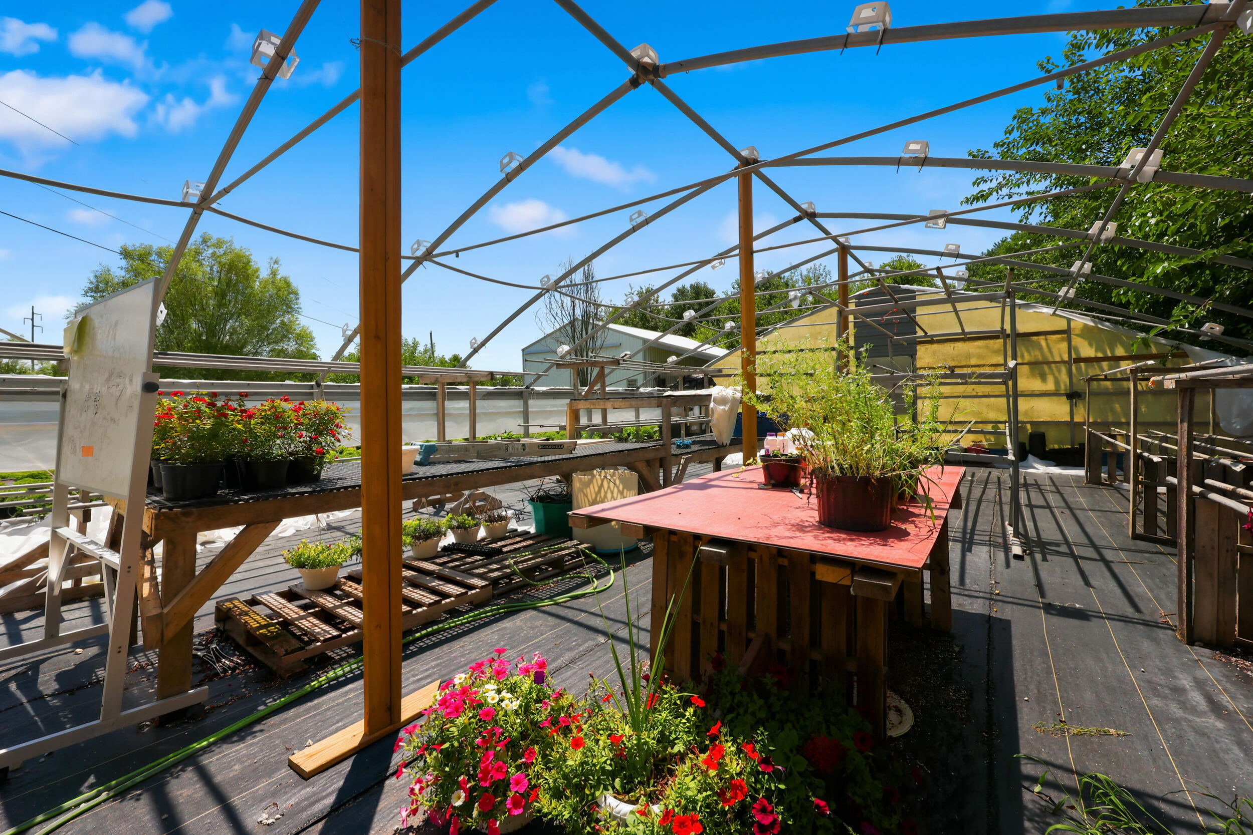 5183 Ky-36 Property Photo 73