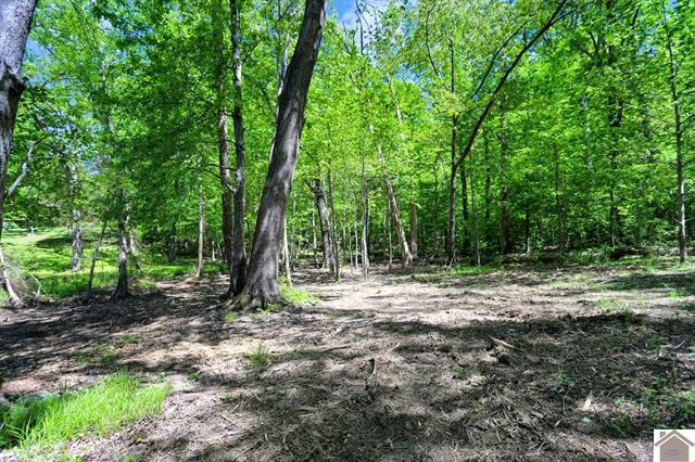 Lot 19 & 20 Post Oak Road Property Photo 33