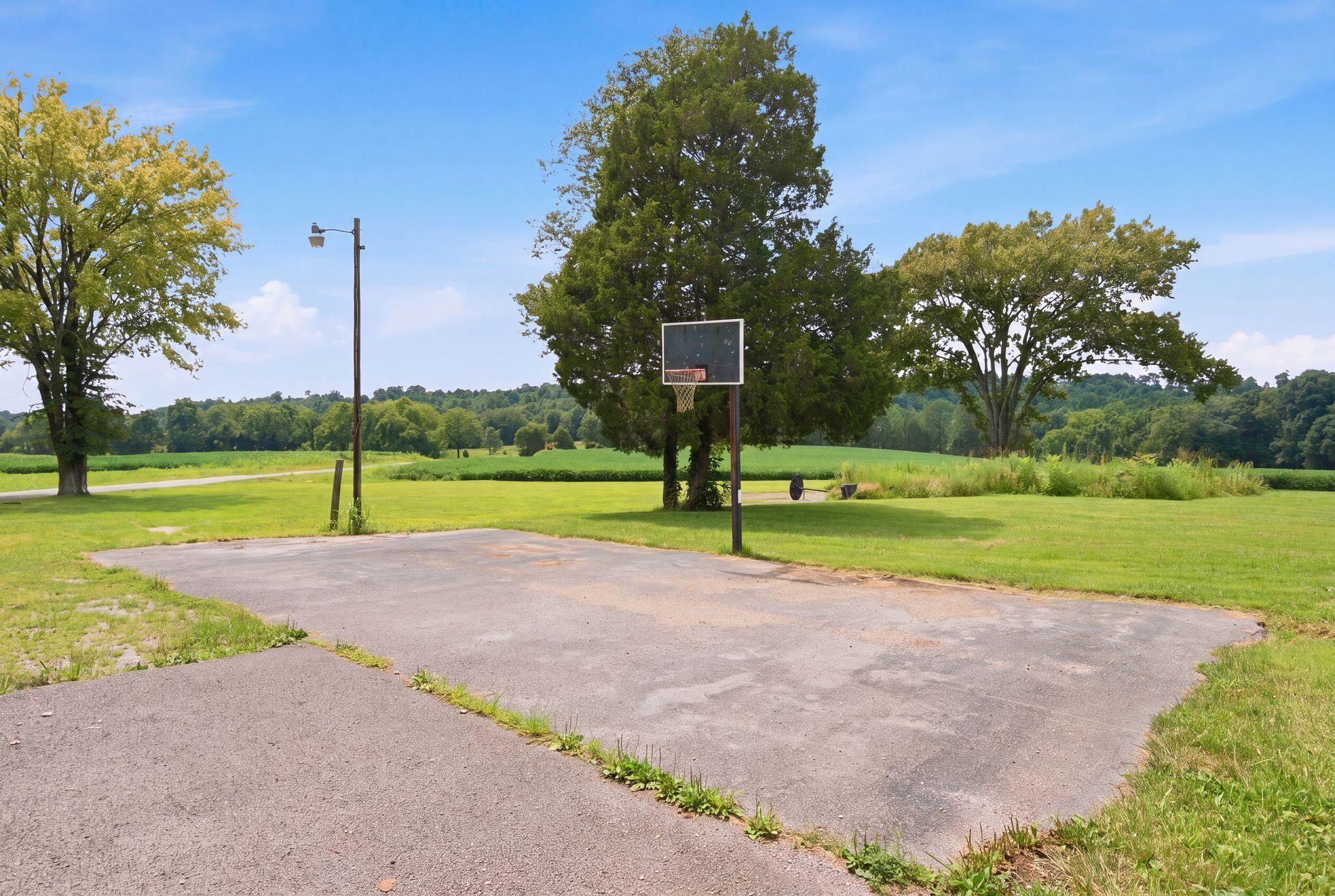 130 White Road Property Photo 46