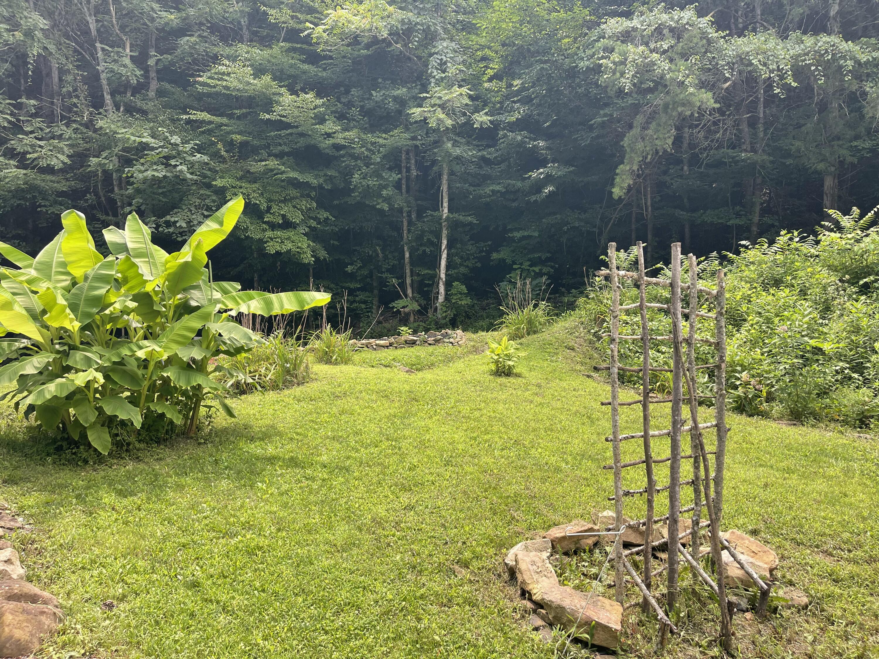 238 Coal Stone Branch Road Property Photo 6