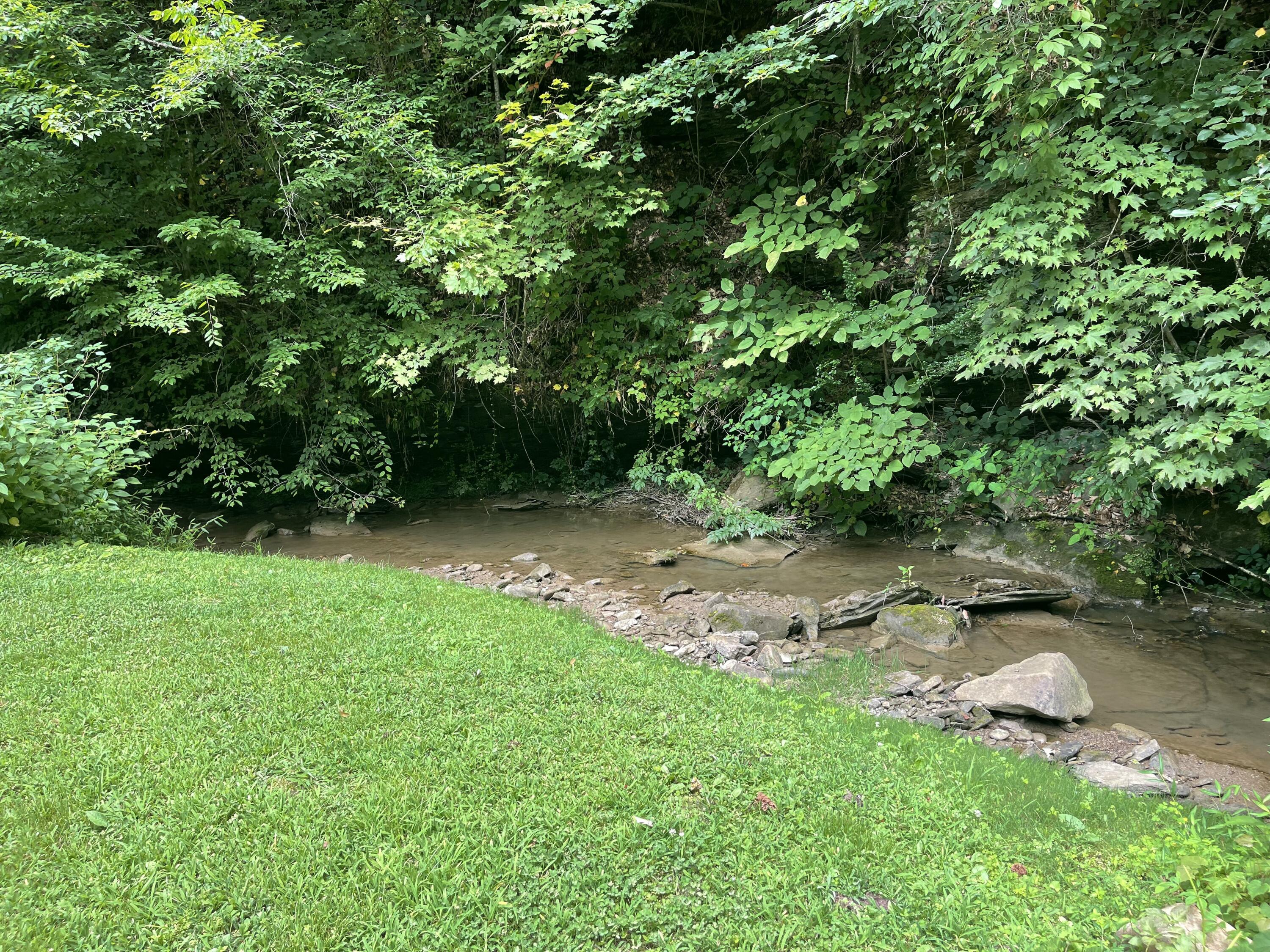 238 Coal Stone Branch Road Property Photo 8