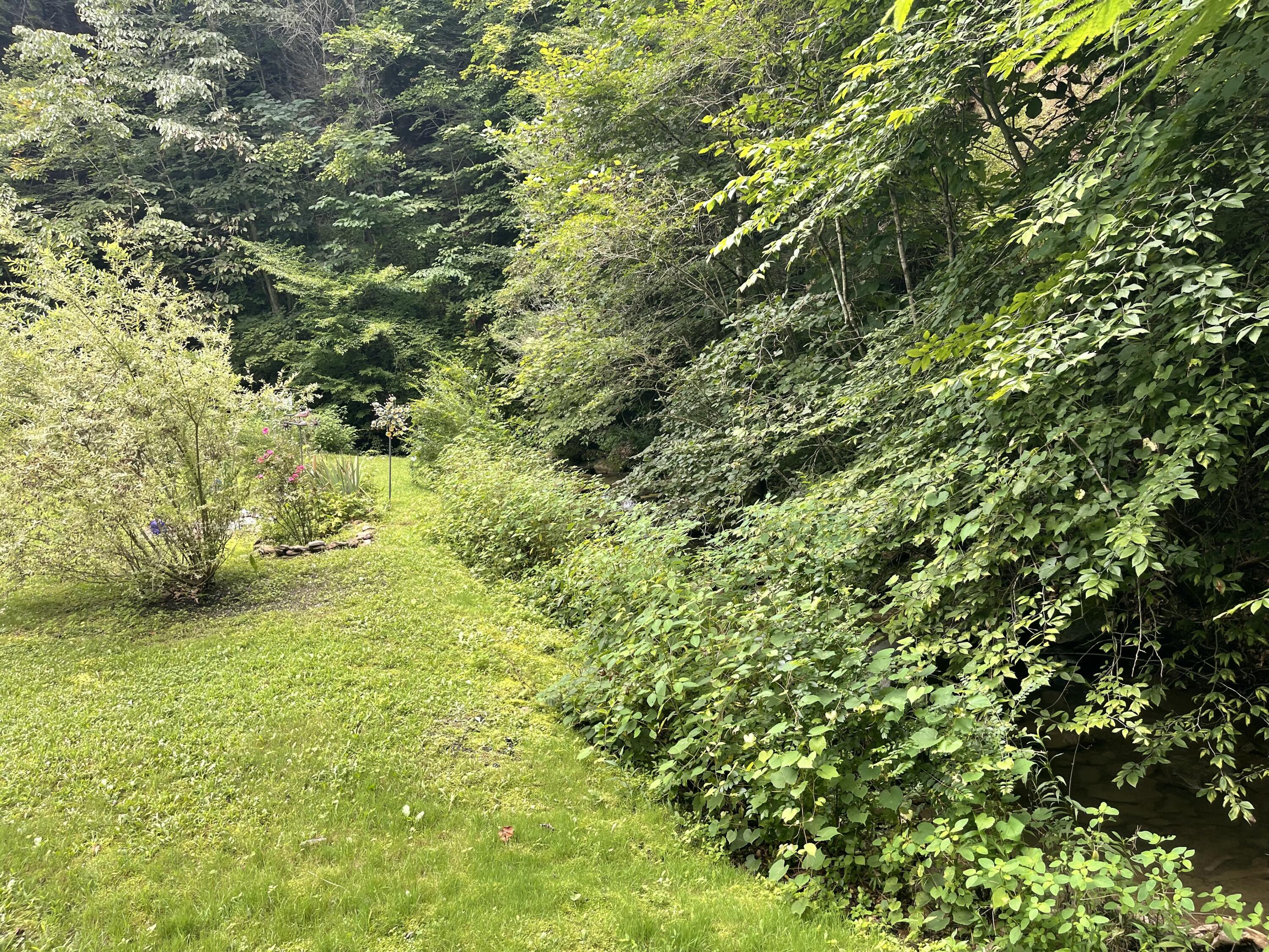 238 Coal Stone Branch Road Property Photo 10