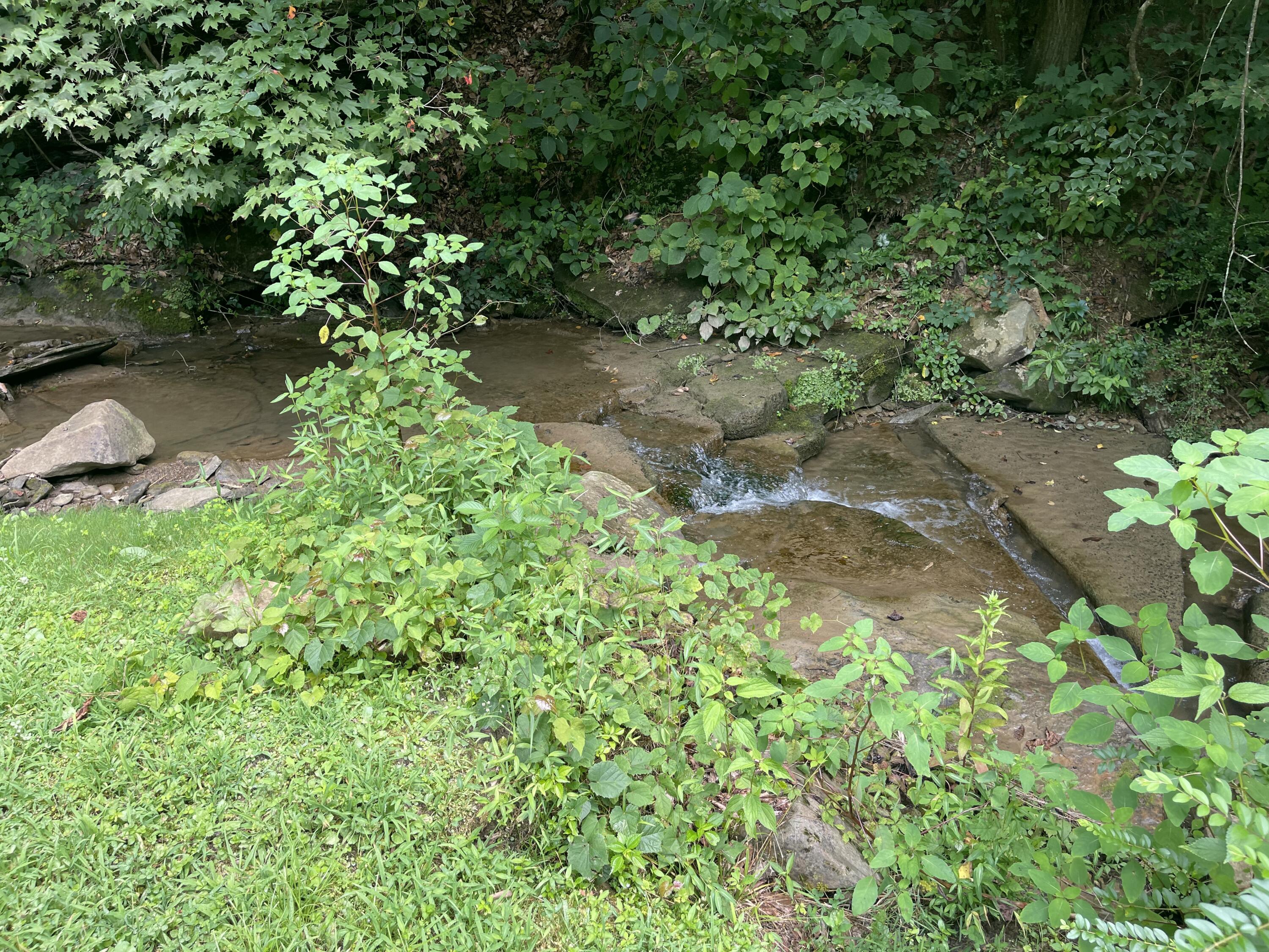 238 Coal Stone Branch Road Property Photo 12